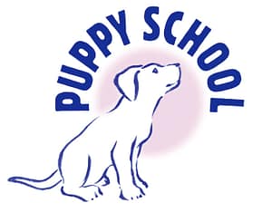 classess and lessons with further online support for puppies